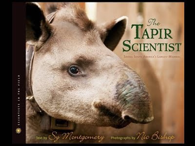 The Tapir Scientist: Saving South America's Largest Mammal